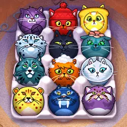 cat-sorter-puzzle-2hEGW